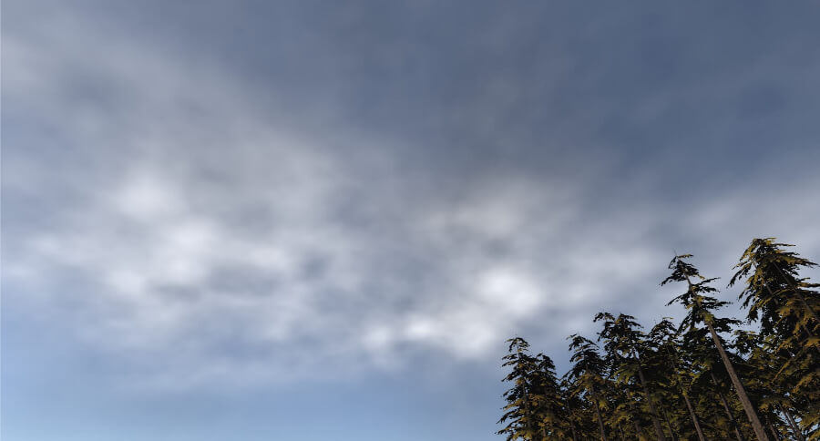 Unity scene showing clouds above a copse of trees