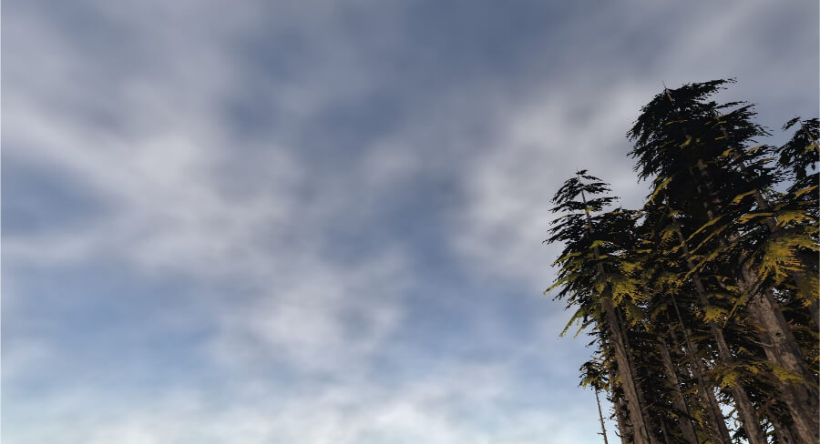 Day time scene with dense soft clouds