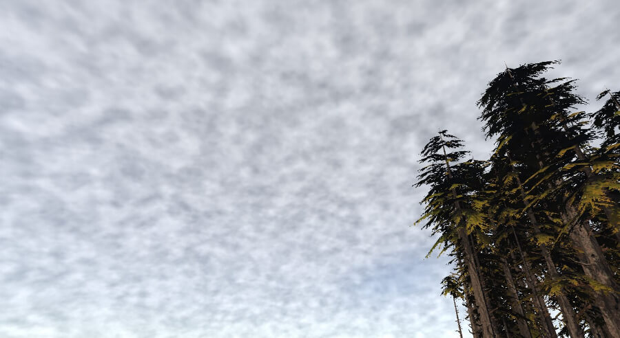 Day time scene with a cloud covered sky