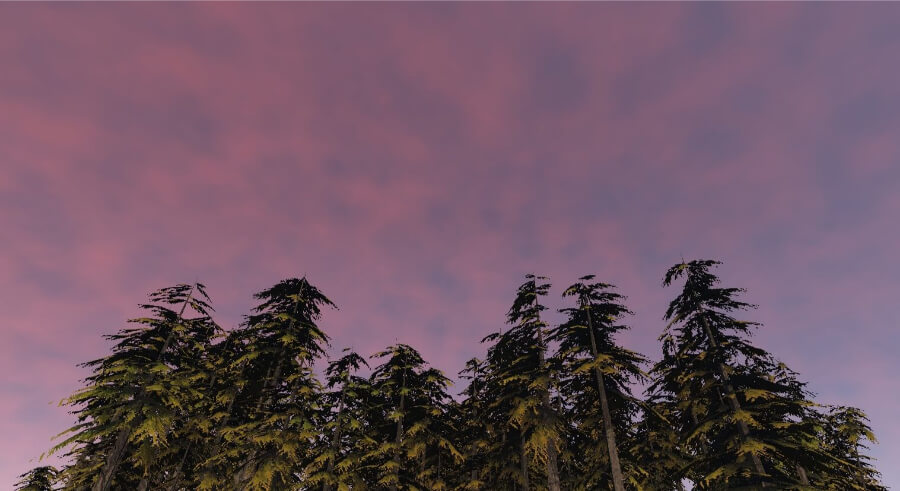 Evening scene with soft orange clouds